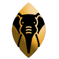 Nubia dynamics logo